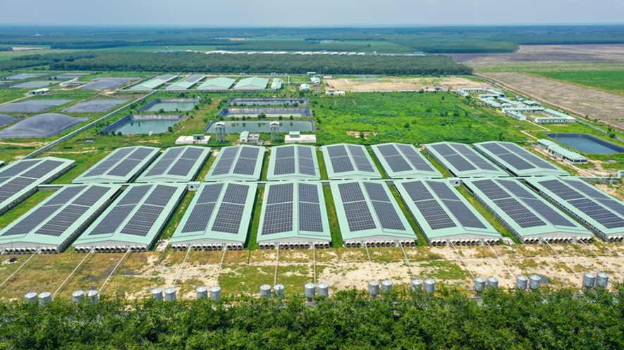 BAF vững vàng trước biến động, hướng tới kỷ lục lợi nhuận năm 2026