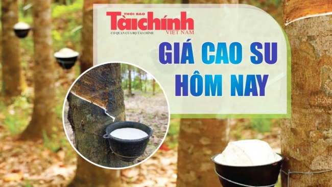 Ngày 31/1: Giá cao su thế giới diễn biến trái chiều