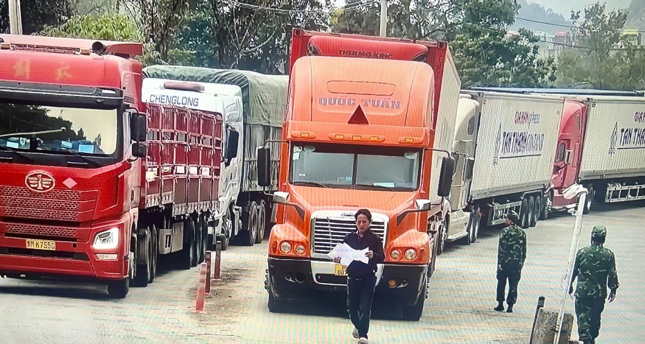 Trước 5/2/2026, ban hành hướng dẫn kiểm tra thực phẩm nhập khẩu theo Nghị định 46