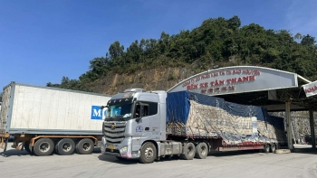 Hải quan đề xuất giải pháp tháo “điểm nghẽn” kiểm dịch, gỡ ách tắc thông quan hàng hóa