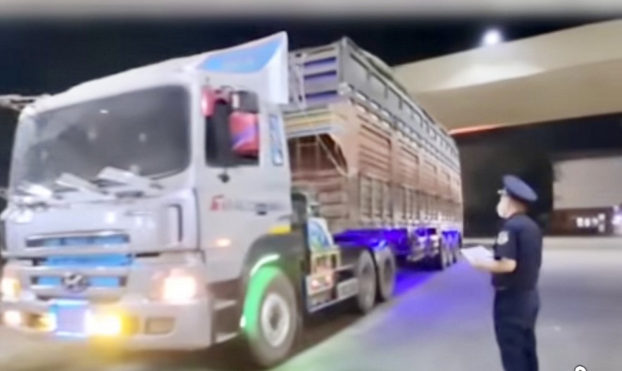 Cục Hải quan hỏa tốc chỉ đạo thông quan thực phẩm nhập khẩu, bố trí trực 24/7 xử lý vướng mắc