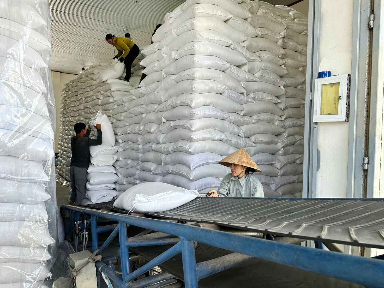 Xuất cấp hơn 1.661 tấn gạo dự trữ hỗ trợ nhân dân Thành phố Đà Nẵng, An Giang dịp Tết Bính Ngọ Xuất cấp hơn 1.661 tấn gạo dự trữ hỗ trợ nhân dân Thành phố Đà Nẵng, An Giang dịp Tết Bính Ngọ