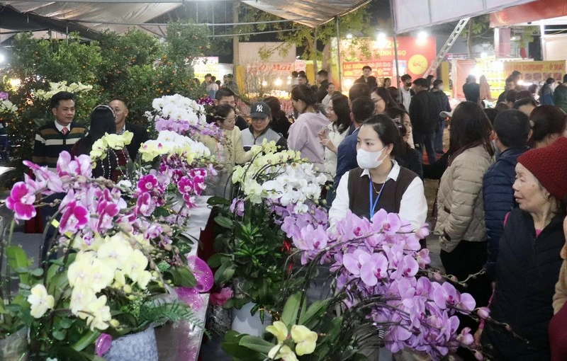 Nguồn cung dồi dào, kiểm soát chặt để bình ổn giá Nguồn cung dồi dào, kiểm soát chặt để bình ổn giá