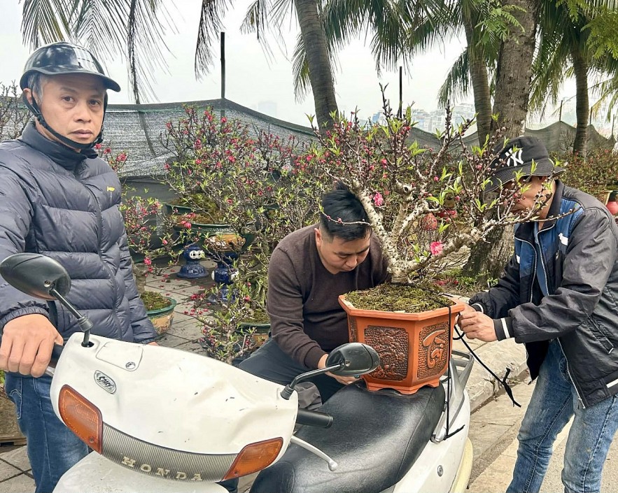 Đào quất xuống phố, Hà Nội rực rỡ sắc Xuân Bính Ngọ