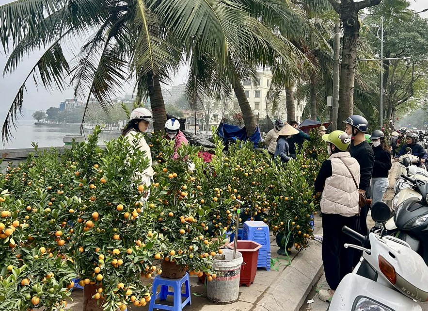 Đào quất xuống phố, Hà Nội rực rỡ sắc Xuân Bính Ngọ