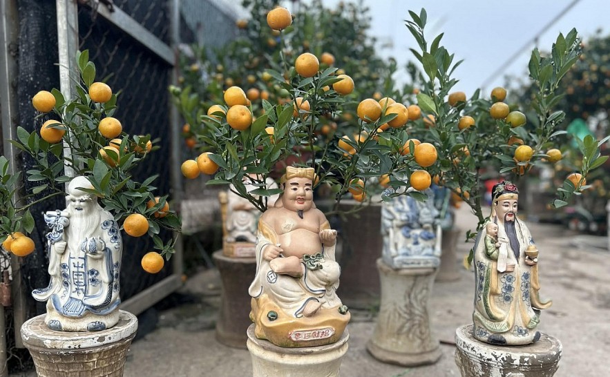 Đào quất xuống phố, Hà Nội rực rỡ sắc Xuân Bính Ngọ