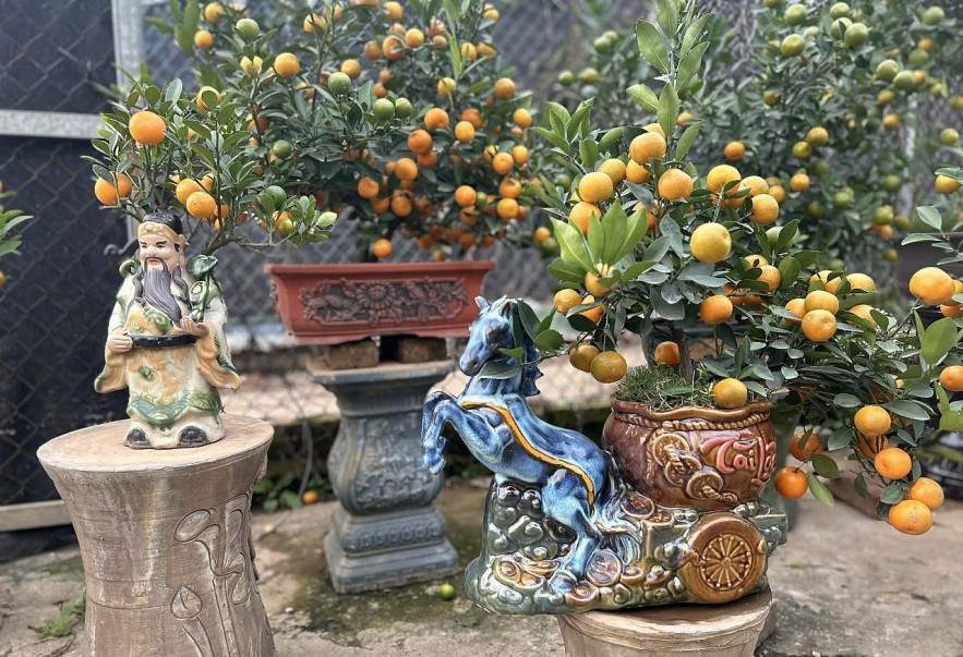 Đào quất xuống phố, Hà Nội rực rỡ sắc Xuân Bính Ngọ