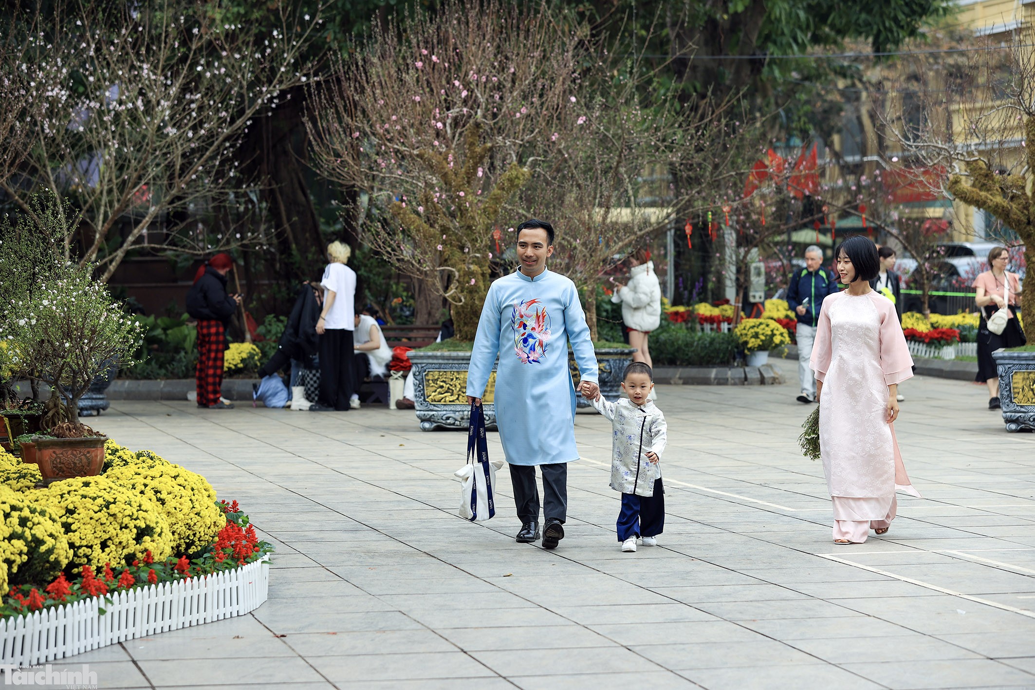Sắc đào lộng lẫy tại vườn hoa Lý Thái Tổ Sắc đào lộng lẫy tại vườn hoa Lý Thái Tổ