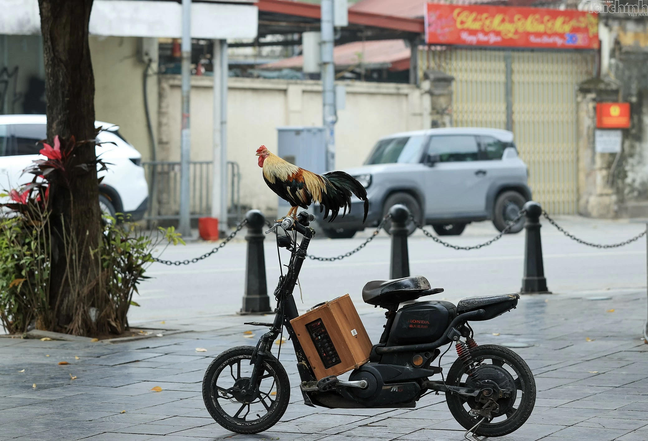 Người Hà Nội thảnh thơi sáng mùng 1 Tết