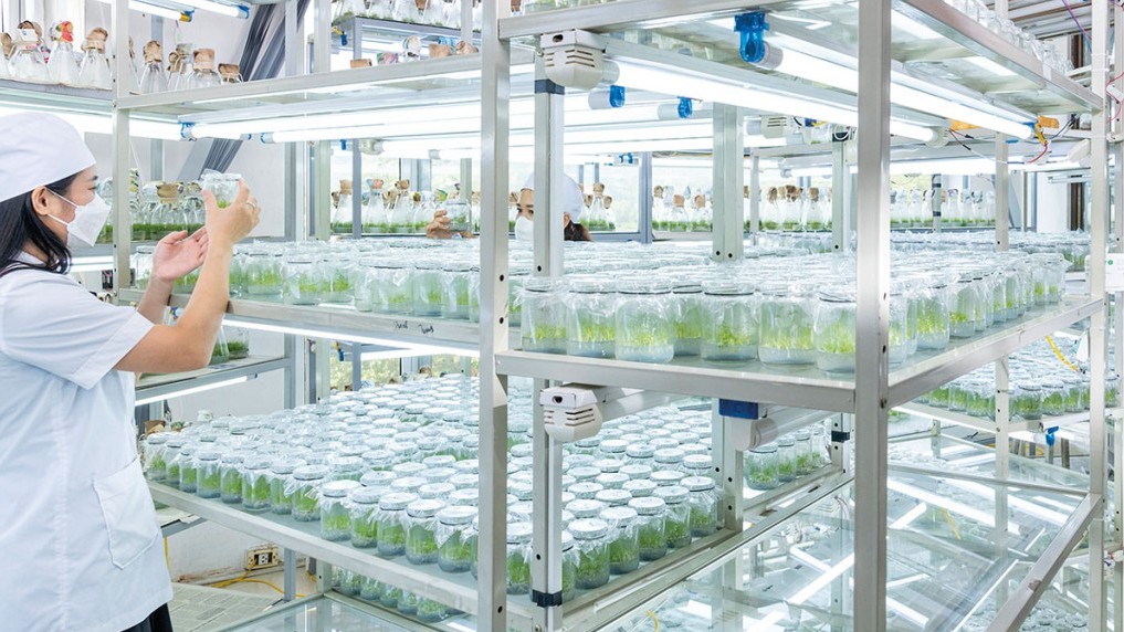 VINAFOR: Bản lĩnh doanh nghiệp nhà nước trong hành trình xanh hóa nền kinh tế