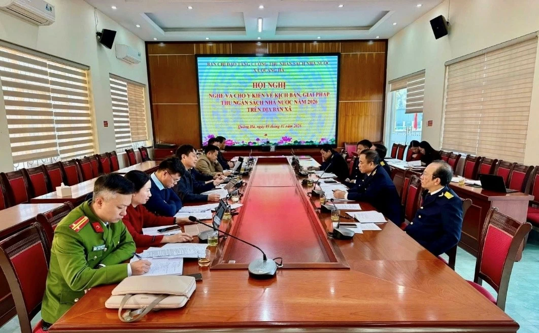 Thuế tỉnh Quảng Ninh triển khai các giải pháp quản lý thuế mạnh mẽ ngay từ đầu năm Thuế tỉnh Quảng Ninh triển khai các giải pháp quản lý thuế mạnh mẽ ngay từ đầu năm