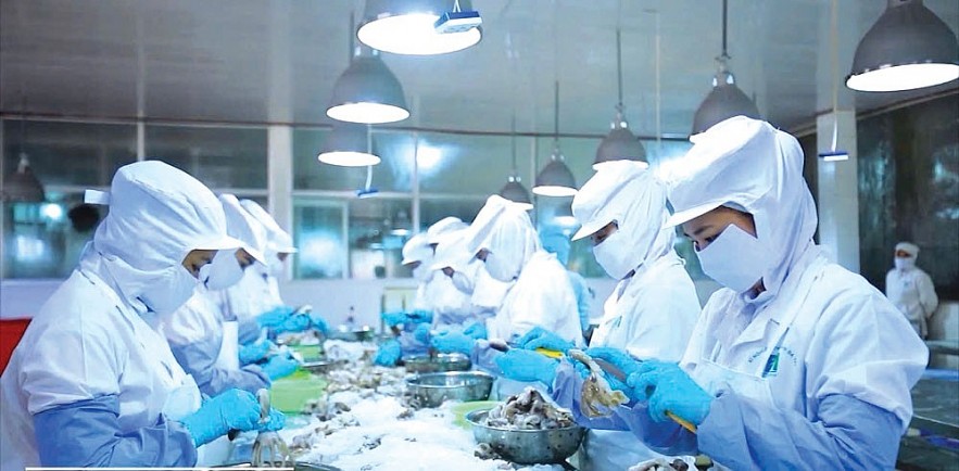 Doanh nghiệp vượt khó, Tết ấm no nhờ “bệ đỡ” tài chính công Doanh nghiệp vượt khó, Tết ấm no nhờ “bệ đỡ” tài chính công