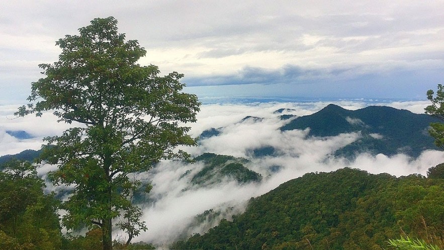 Dấu vó ngựa trên đường dài dân tộc Dấu vó ngựa trên đường dài dân tộc