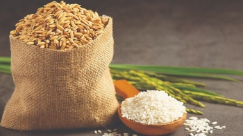 Ngày 23/2: Giá gạo xuất khẩu biến động nhẹ, lúa ổn định