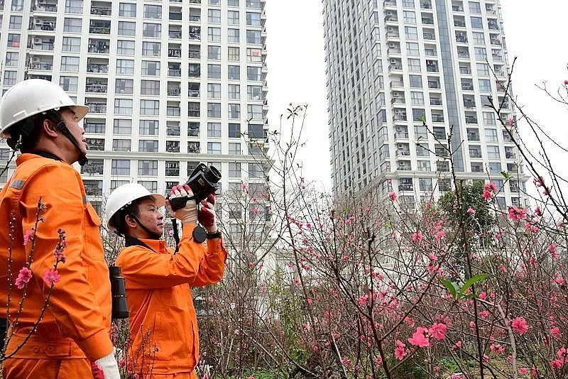 EVN hoàn thành xuất sắc nhiệm vụ đảm bảo điện dịp Tết nguyên đán Bính Ngọ EVN hoàn thành xuất sắc nhiệm vụ đảm bảo điện dịp Tết Nguyên đán Bính Ngọ 2026