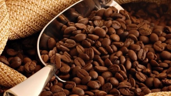 Ngày 25/2: Giá cà phê nối dài chuỗi giảm, hồ tiêu vượt mốc 152.000 đồng/kg