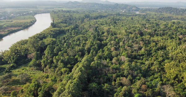 Bộ Nông nghiệp và Môi trường là cơ quan duy nhất cấp mã trong nước cho hạn ngạch phát thải và tín chỉ carbon