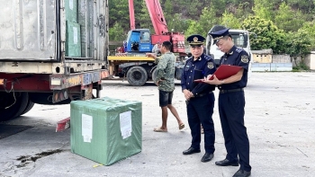 Hải quan hướng dẫn thực thi chính sách mới với xe máy chuyên dùng nhập khẩu