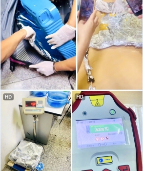 Hải quan triệt phá vụ vận chuyển 4,5 kg cocain quá cảnh qua Sân bay quốc tế Tân Sơn Nhất