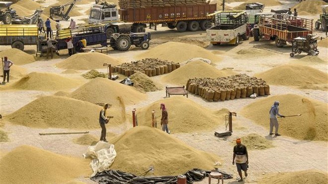 Thị trường nông sản tuần qua: Giá gạo châu Á chịu áp lực từ cả phía cung và cầu