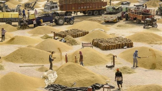 Thị trường nông sản tuần qua: Giá gạo châu Á chịu áp lực từ cả phía cung và cầu