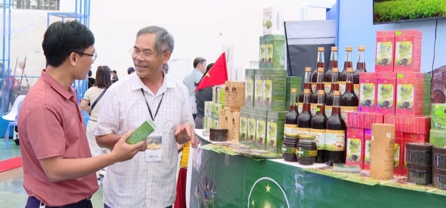 Hội chợ Mùa Xuân 2026: “Bệ phóng” chiến lược cho doanh nghiệp xuất khẩu