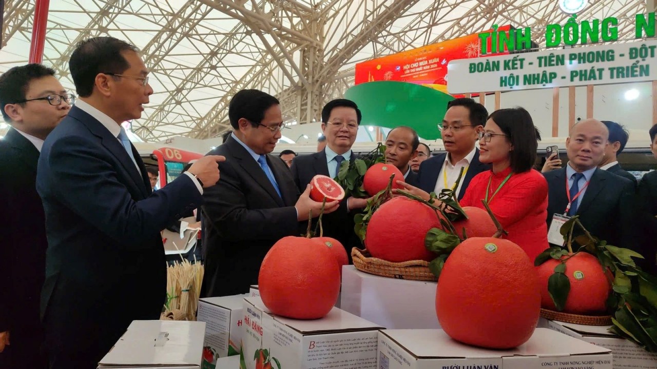 Mang Tết xứ Thanh đến Hội chợ Mùa Xuân 2026 Mang Tết xứ Thanh đến Hội chợ Mùa Xuân 2026