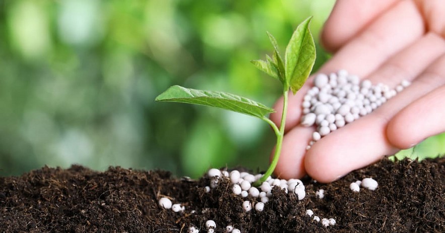 Tác động từ chiến sự tại Trung Đông đối với Việt Nam ở mức vừa phải