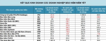 Doanh nghiệp bảo hiểm lỗ lớn sau bão lũ không chỉ toàn gam màu “xám”