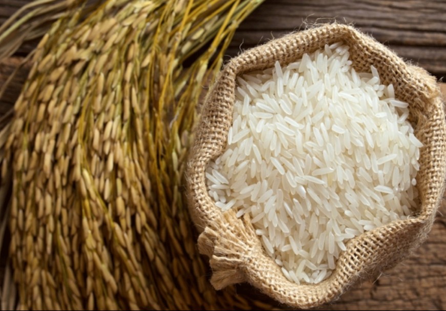 Ngày 8/3: Giá lúa gạo tại Đồng bằng sông Cửu Long ít biến động, giao dịch mua bán chậm