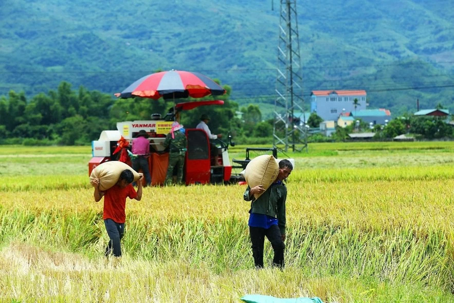 Hoàn thiện cơ chế, thúc đẩy giải ngân các chương trình mục tiêu quốc gia Hoàn thiện cơ chế, thúc đẩy giải ngân các chương trình mục tiêu quốc gia