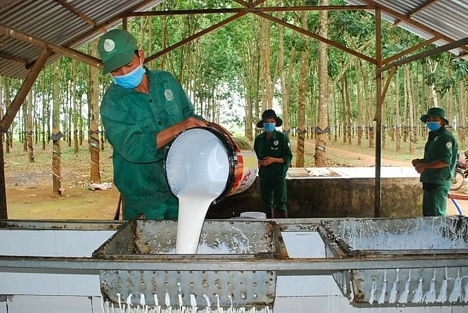 Ngày 10/3: Giá cao su thế giới giằng co trong biên độ hẹp, trong nước tăng