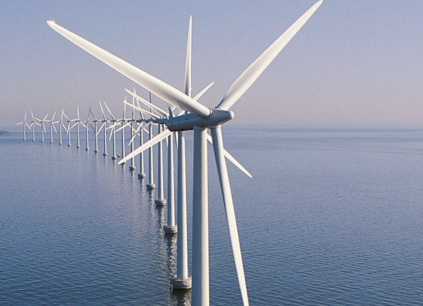 REE dự kiến chia cổ tức 25% và phát hành cổ phiếu thưởng