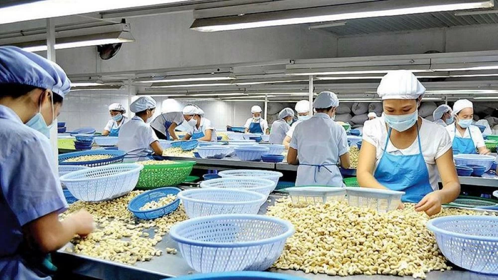 Giữ nhịp sản xuất, ổn định thị trường, thúc đẩy xuất khẩu trước diễn biến xung đột Trung Đông