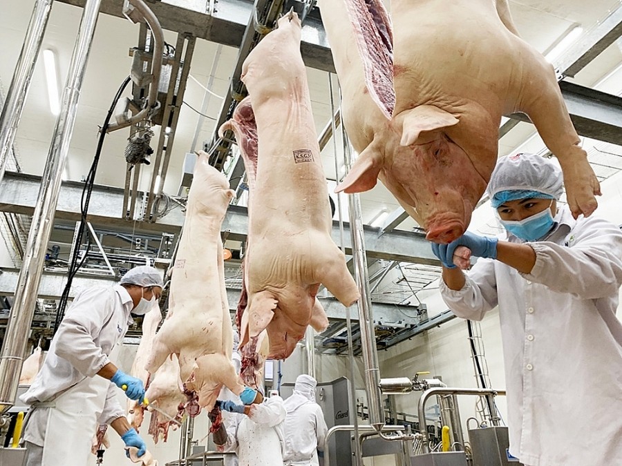 Xuất khẩu chăn nuôi tăng mạnh, mở đường chạm mốc 1 tỷ USD