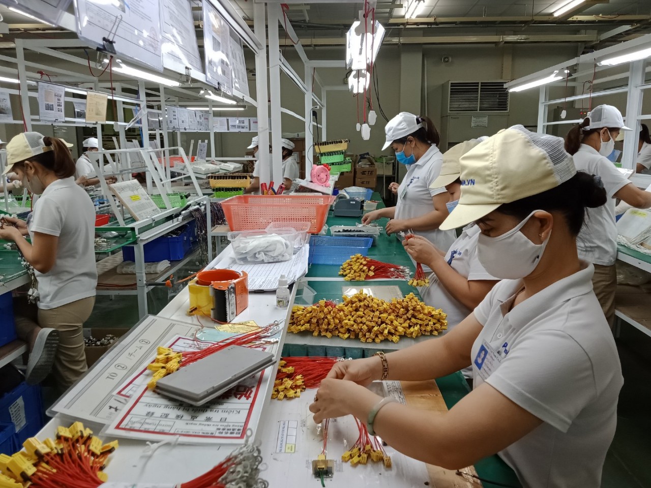 Nghiêm cấm doanh nghiệp sử dụng thông tin của cá nhân không chi trả thu nhập để quyết toán thuế thu nhập cá nhân