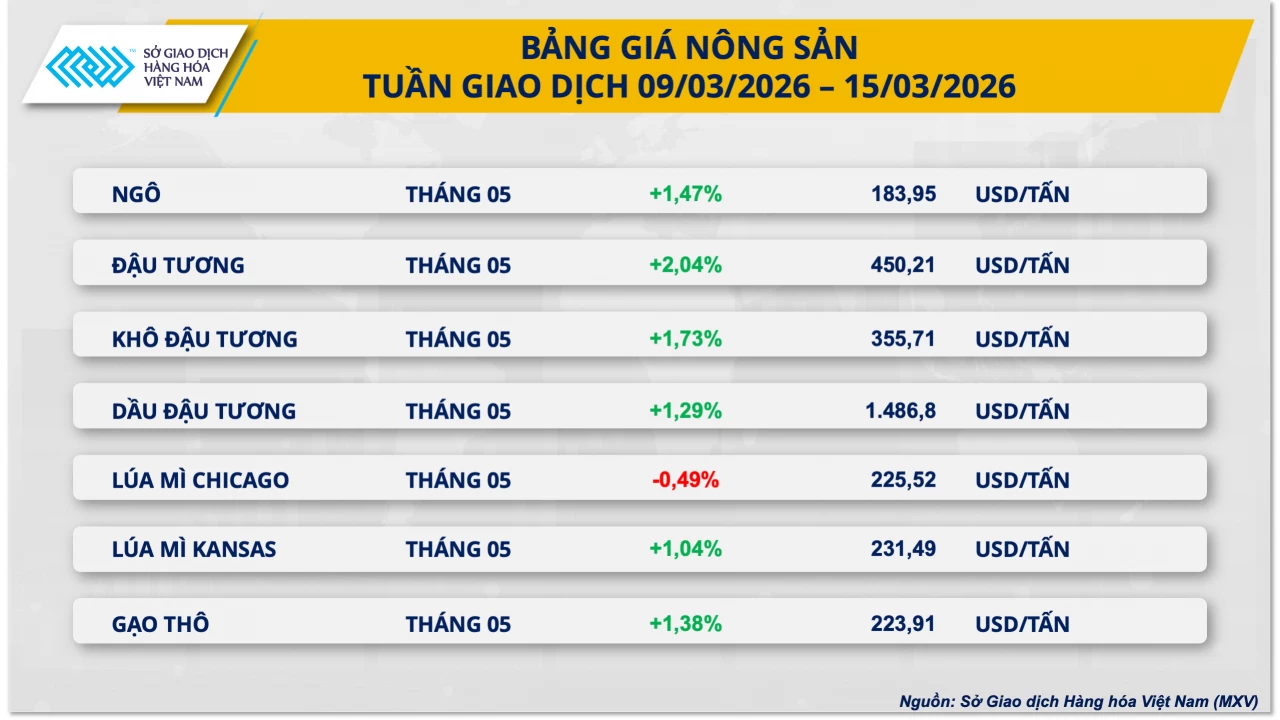 Biến động tại eo biển Hormuz đẩy giá dầu vượt 100 USD, lúa gạo giảm nhẹ Biến động tại eo biển Hormuz đẩy giá dầu vượt 100 USD