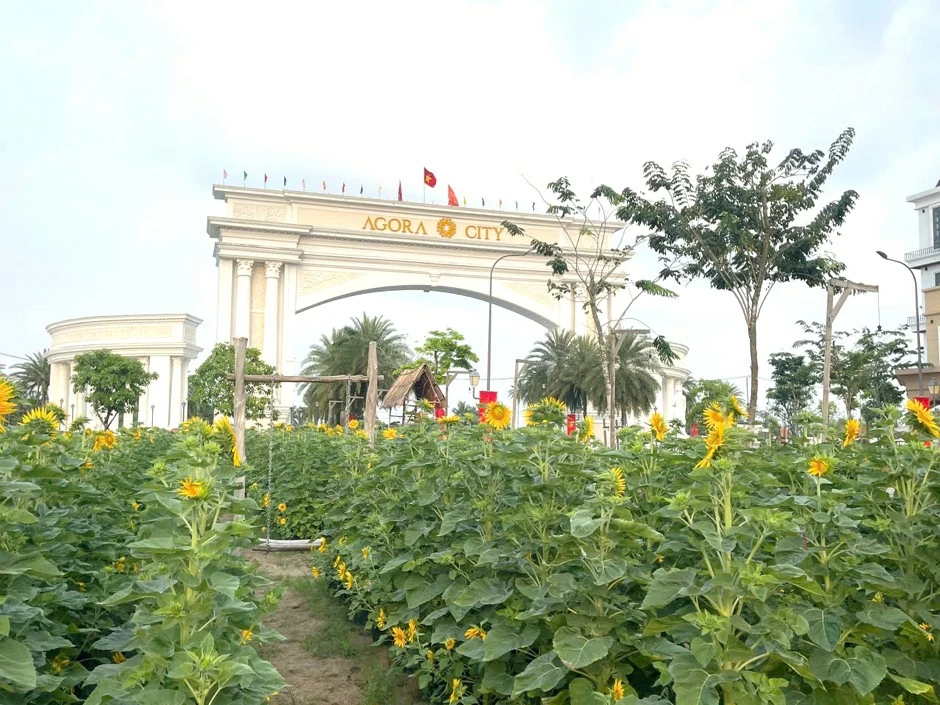 Mô hình đô thị hành chính mở ra chu kỳ tăng trưởng mới cho bất động sản phía Tây TP. Hồ Chí Minh