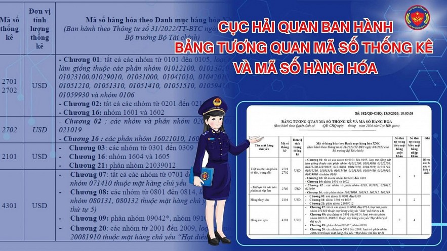 Hải quan ban hành bảng tương quan mã số, thuận lợi tra cứu và thống kê hàng hóa