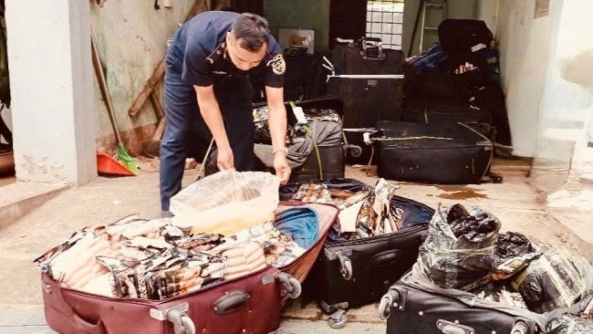 Hải quan liên tiếp chặn hơn 1,8 tấn thực phẩm đông lạnh nhập lậu tại biên giới phía Bắc