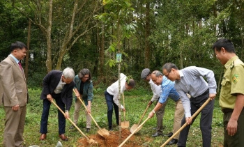 Rừng là nền tảng cho tăng trưởng xanh và sinh kế lâu dài