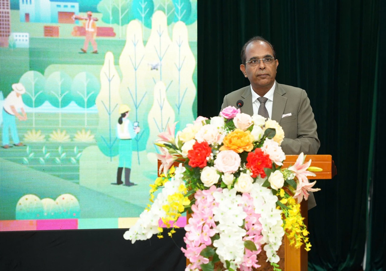 Rừng: Động lực phát triển kinh tế địa phương bền vững