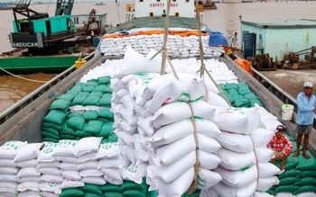 Tăng cường giải pháp thúc đẩy sản xuất, xuất khẩu gạo trong tình hình mới