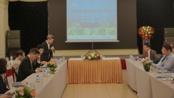 Dư nợ cho thuê tài chính vượt 45 nghìn tỷ đồng, tăng trưởng “thực” nhưng cần xung lực mới