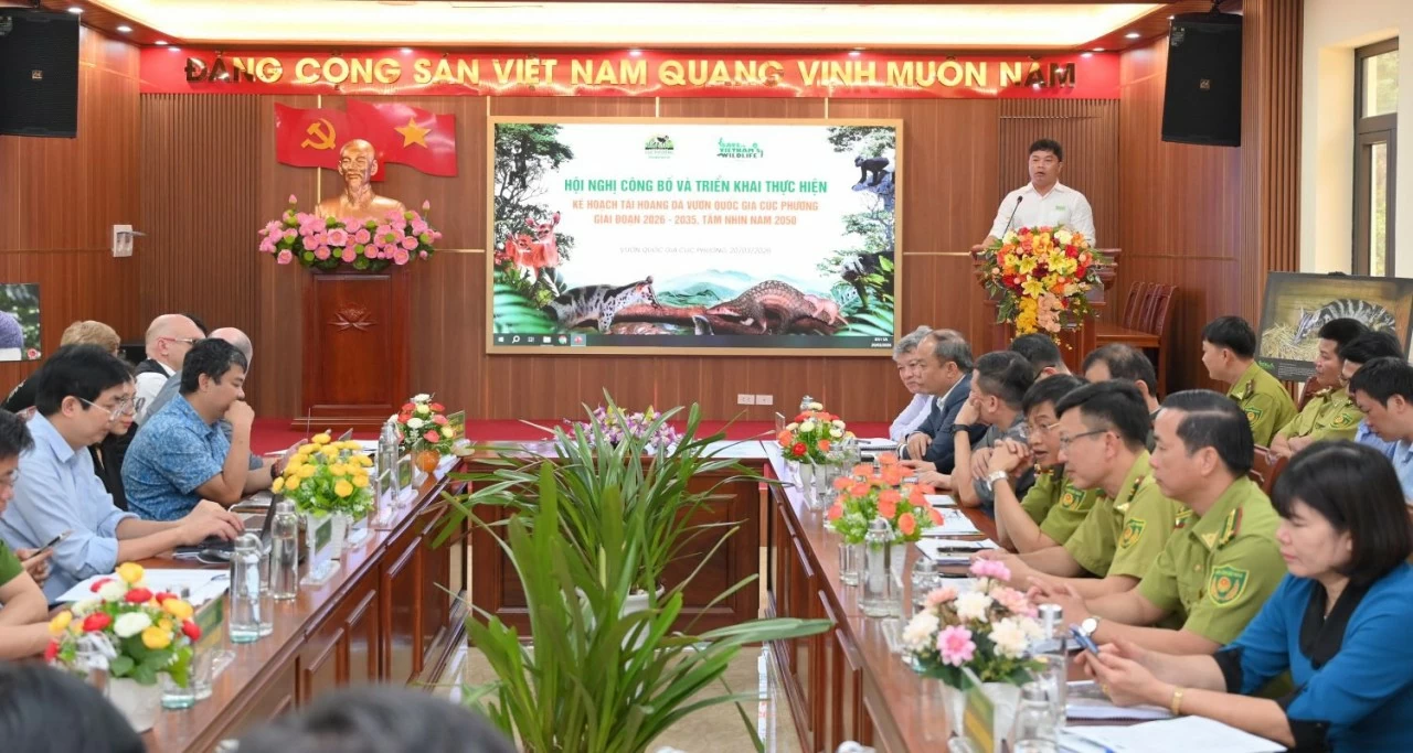 Công bố kế hoạch hành động tái hoang dã vườn quốc gia đầu tiên của Việt Nam Công bố kế hoạch hành động tái hoang dã vườn quốc gia đầu tiên của Việt Nam