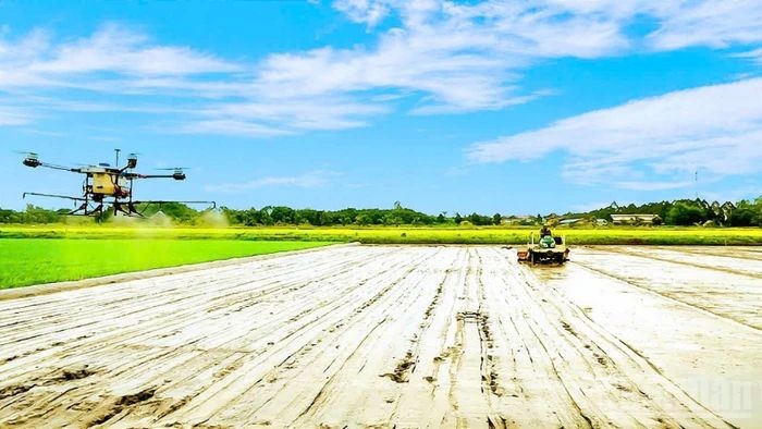 Ngành Nông nghiệp và Môi trường hướng tới bứt phá 2026, kêu gọi doanh nghiệp thích ứng và chuyển đổi xanh Ngành Nông nghiệp và Môi trường hướng tới bứt phá 2026, kêu gọi doanh nghiệp thích ứng và chuyển đổi xanh