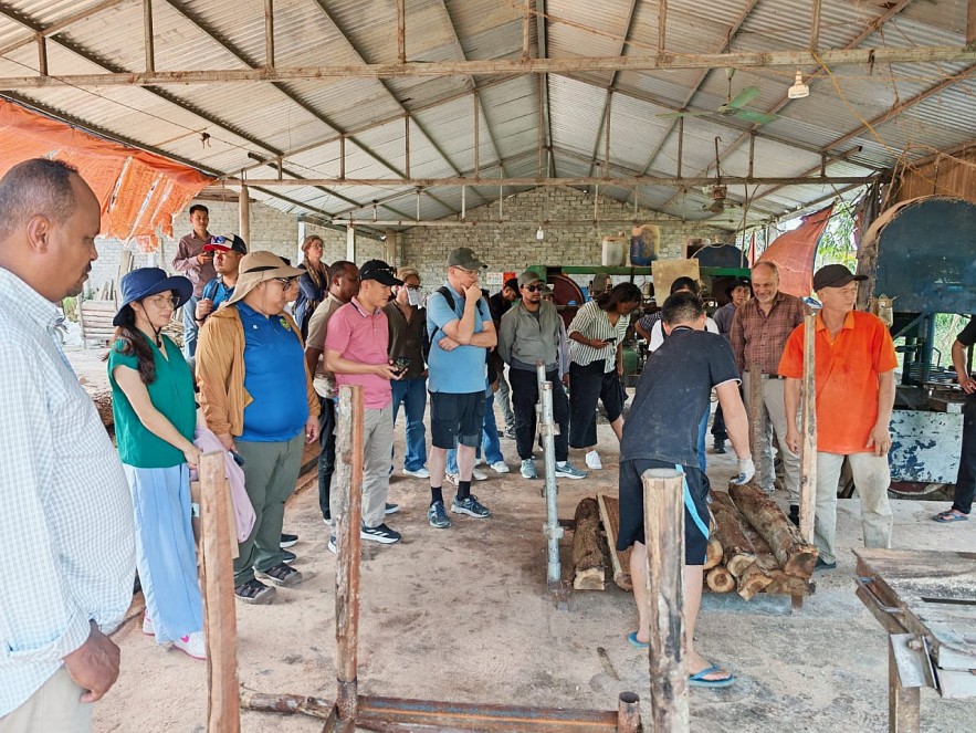 Phục hồi rừng từ cộng đồng: Kết nối sinh kế, lan tỏa giá trị kinh tế bền vững Phục hồi rừng từ cộng đồng: Kết nối sinh kế, lan tỏa giá trị kinh tế bền vững