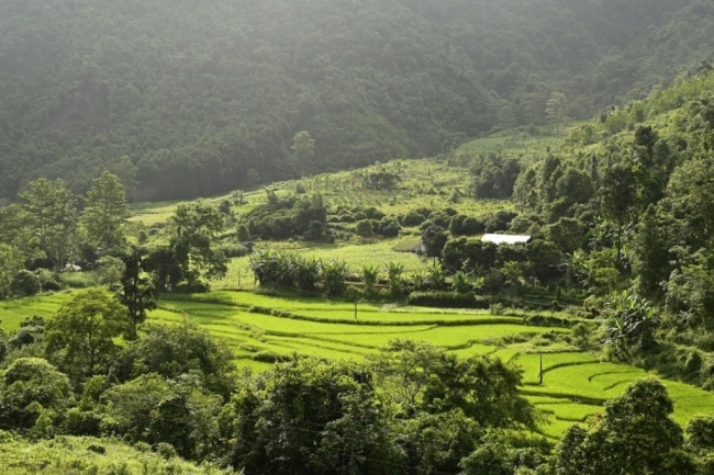 Hành động vì nước sạch, không khí xanh: Thúc đẩy chuyển đổi phát triển bền vững