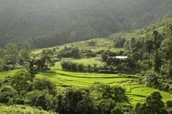 Hành động vì nước sạch, không khí xanh: Thúc đẩy chuyển đổi phát triển bền vững