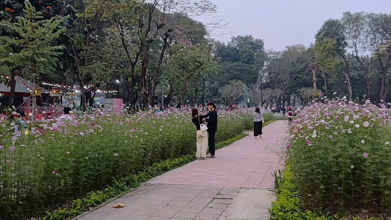 Hà Nội xuân tràn từng ô cửa Hà Nội xuân tràn từng ô cửa